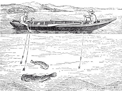 Иллюстрация к книге — Исконно русская рыбалка. Жизнь и ловля пресноводных рыб [i_119.jpg]