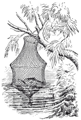 Иллюстрация к книге — Исконно русская рыбалка. Жизнь и ловля пресноводных рыб [i_140.jpg]