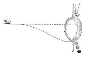 Иллюстрация к книге — Исконно русская рыбалка. Жизнь и ловля пресноводных рыб [i_147.jpg]