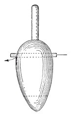 Иллюстрация к книге — Исконно русская рыбалка. Жизнь и ловля пресноводных рыб [i_148.jpg]
