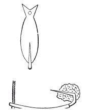 Иллюстрация к книге — Исконно русская рыбалка. Жизнь и ловля пресноводных рыб [i_162.jpg]