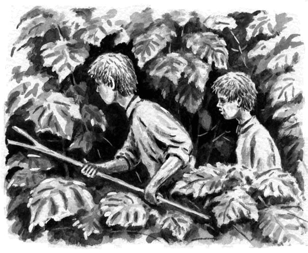 Иллюстрация к книге — Длиннохвостые разбойники [i_005.jpg]