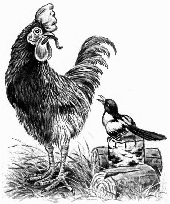 Иллюстрация к книге — Длиннохвостые разбойники [i_009.jpg]