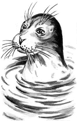 Иллюстрация к книге — Длиннохвостые разбойники [i_026.jpg]