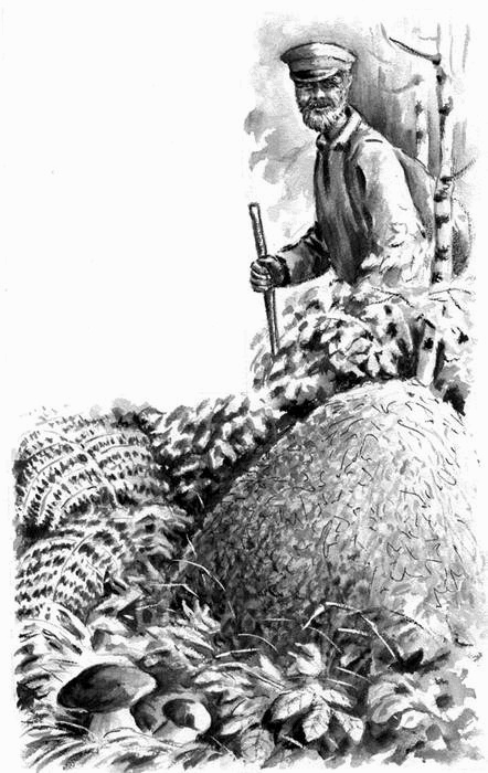 Иллюстрация к книге — Длиннохвостые разбойники [i_027.jpg]