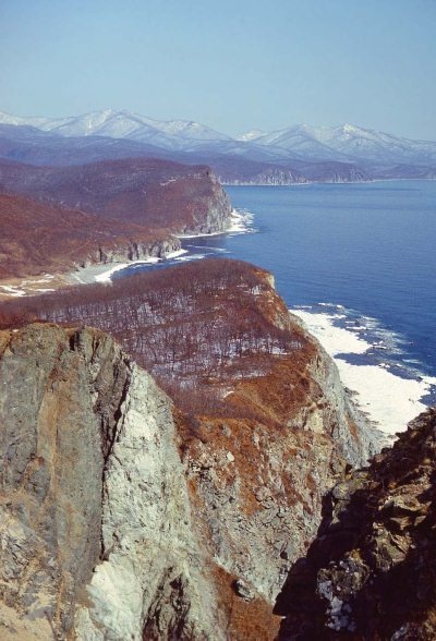 Иллюстрация к книге — Полосатая кошка, пятнистая кошка [i_006.jpg]