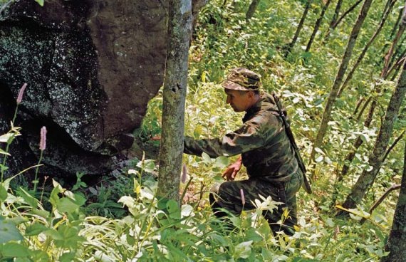 Иллюстрация к книге — Полосатая кошка, пятнистая кошка [i_008.jpg]