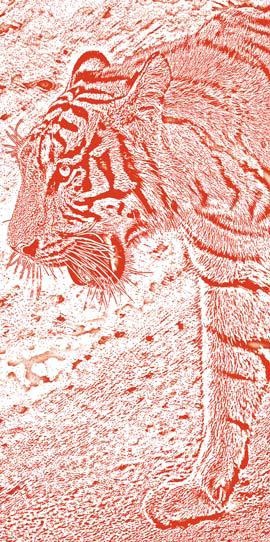 Иллюстрация к книге — Полосатая кошка, пятнистая кошка [i_011.jpg]