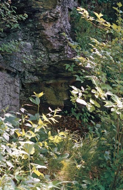 Иллюстрация к книге — Полосатая кошка, пятнистая кошка [i_026.jpg]