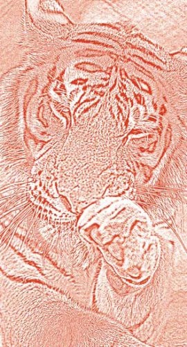 Иллюстрация к книге — Полосатая кошка, пятнистая кошка [i_037.jpg]