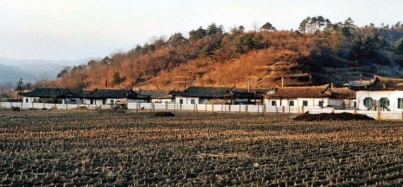 Иллюстрация к книге — Полосатая кошка, пятнистая кошка [i_053.jpg]