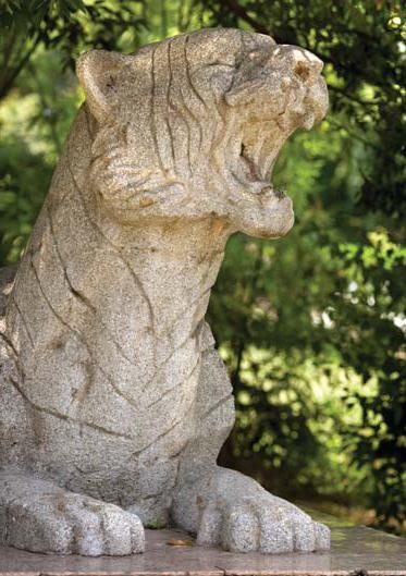 Иллюстрация к книге — Полосатая кошка, пятнистая кошка [i_074.jpg]