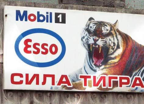 Иллюстрация к книге — Полосатая кошка, пятнистая кошка [i_093.jpg]