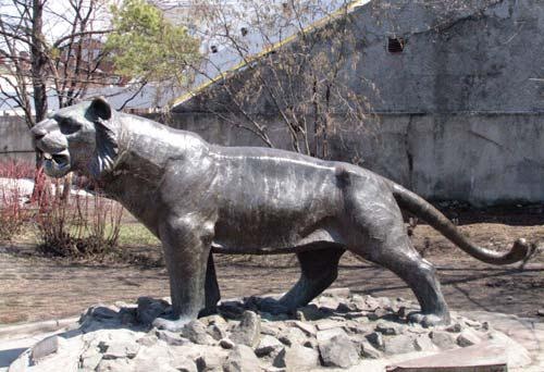 Иллюстрация к книге — Полосатая кошка, пятнистая кошка [i_094.jpg]