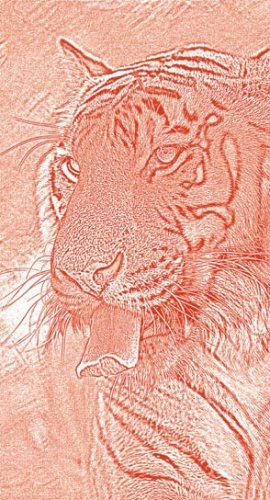 Иллюстрация к книге — Полосатая кошка, пятнистая кошка [i_108.jpg]