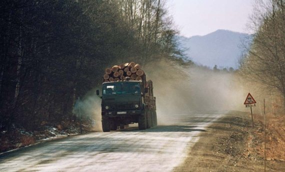 Иллюстрация к книге — Полосатая кошка, пятнистая кошка [i_122.jpg]