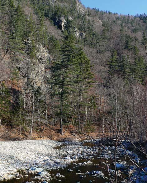 Иллюстрация к книге — Полосатая кошка, пятнистая кошка [i_138.jpg]