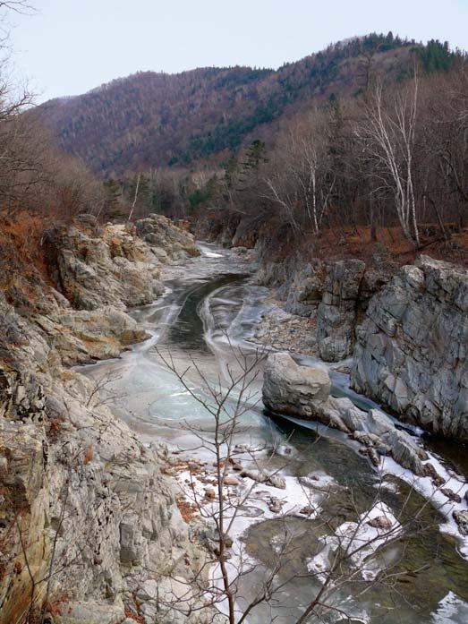 Иллюстрация к книге — Полосатая кошка, пятнистая кошка [i_142.jpg]