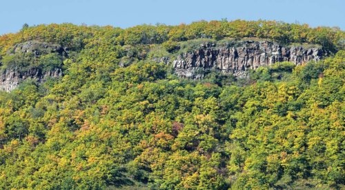 Иллюстрация к книге — Полосатая кошка, пятнистая кошка [i_148.jpg]