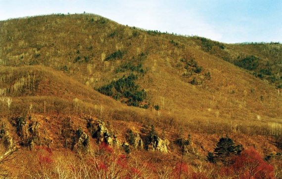 Иллюстрация к книге — Полосатая кошка, пятнистая кошка [i_157.jpg]