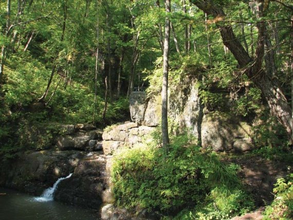 Иллюстрация к книге — Полосатая кошка, пятнистая кошка [i_160.jpg]