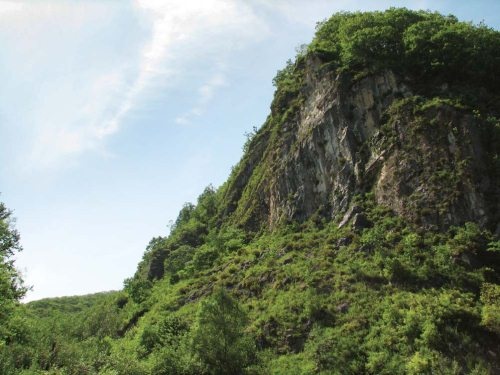 Иллюстрация к книге — Полосатая кошка, пятнистая кошка [i_198.jpg]