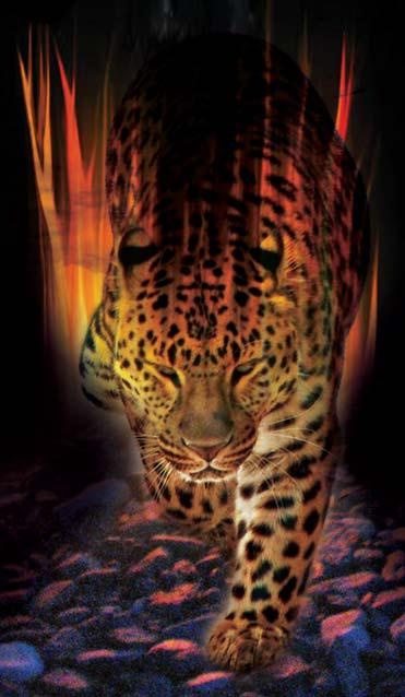 Иллюстрация к книге — Полосатая кошка, пятнистая кошка [i_222.jpg]