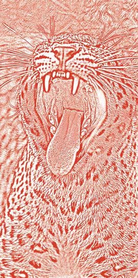 Иллюстрация к книге — Полосатая кошка, пятнистая кошка [i_252.jpg]