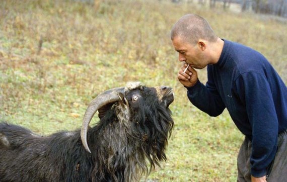 Иллюстрация к книге — Полосатая кошка, пятнистая кошка [i_255.jpg]