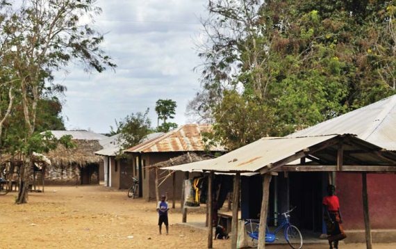 Иллюстрация к книге — Полосатая кошка, пятнистая кошка [i_259.jpg]