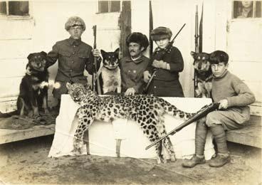 Иллюстрация к книге — Полосатая кошка, пятнистая кошка [i_266.jpg]