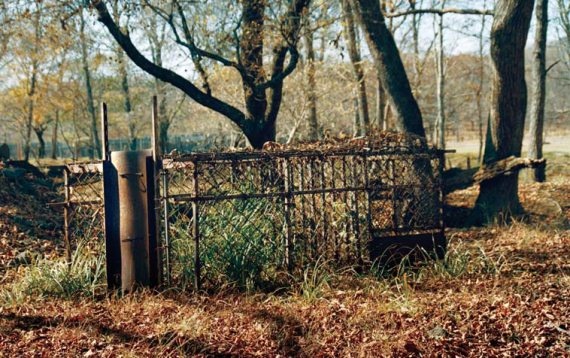 Иллюстрация к книге — Полосатая кошка, пятнистая кошка [i_268.jpg]