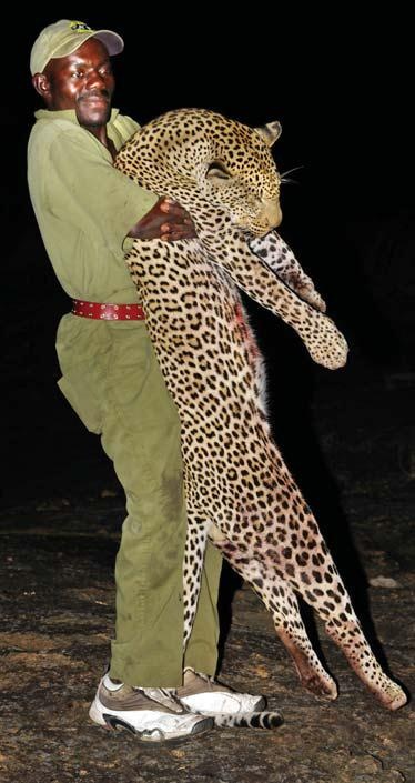 Иллюстрация к книге — Полосатая кошка, пятнистая кошка [i_273.jpg]