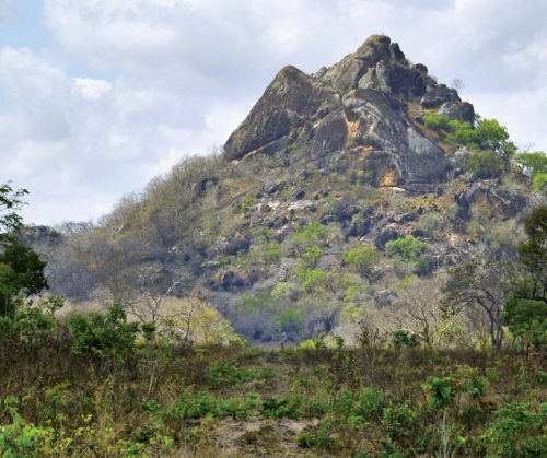 Иллюстрация к книге — Полосатая кошка, пятнистая кошка [i_275.jpg]