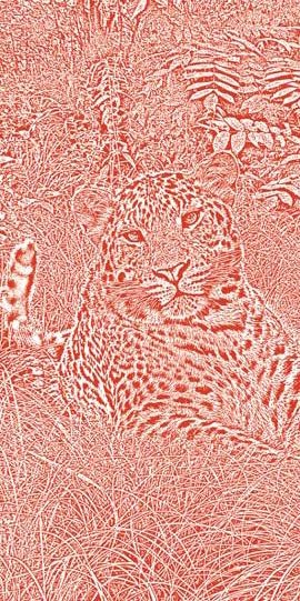 Иллюстрация к книге — Полосатая кошка, пятнистая кошка [i_278.jpg]