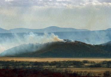 Иллюстрация к книге — Полосатая кошка, пятнистая кошка [i_283.jpg]