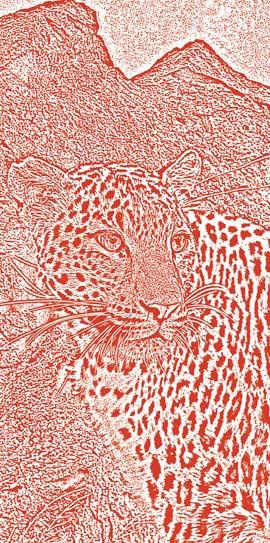 Иллюстрация к книге — Полосатая кошка, пятнистая кошка [i_295.jpg]