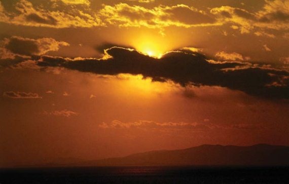 Иллюстрация к книге — Полосатая кошка, пятнистая кошка [i_301.jpg]