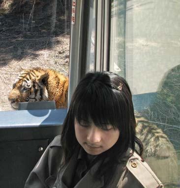 Иллюстрация к книге — Полосатая кошка, пятнистая кошка [i_303.jpg]