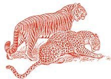 Иллюстрация к книге — Полосатая кошка, пятнистая кошка [i_309.jpg]