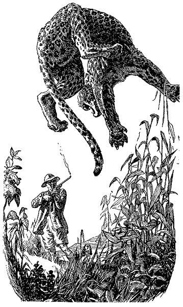 Иллюстрация к книге — Кумаонские людоеды [i_007.jpg]