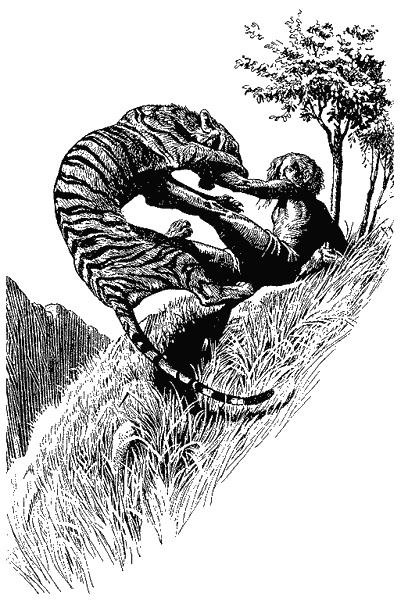 Иллюстрация к книге — Кумаонские людоеды [i_010.jpg]