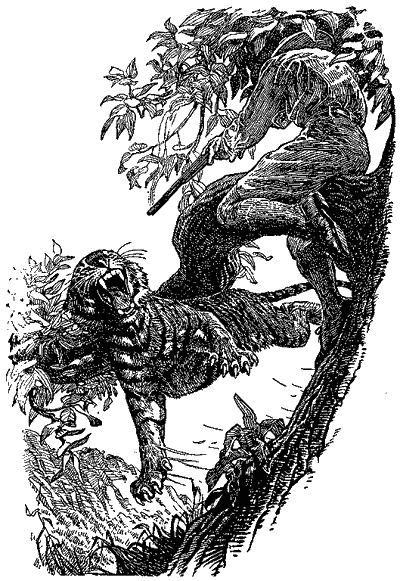 Иллюстрация к книге — Кумаонские людоеды [i_023.jpg]