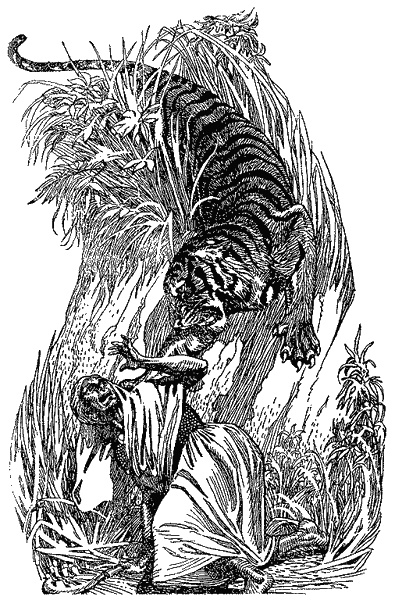 Иллюстрация к книге — Кумаонские людоеды [i_028.jpg]