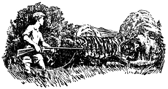 Иллюстрация к книге — Кумаонские людоеды [i_032.jpg]