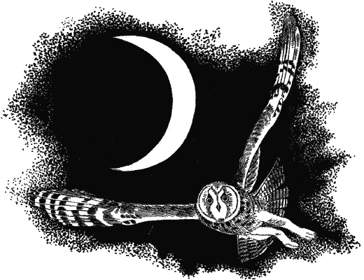 Иллюстрация к книге — Наука джунглей [i_002.jpg]