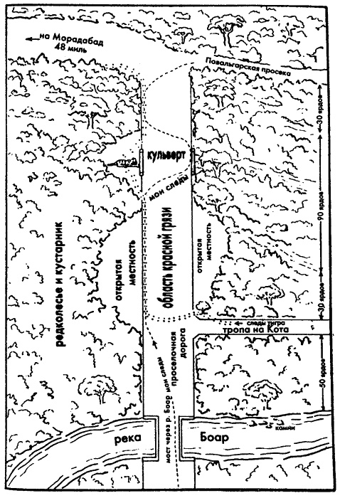 Иллюстрация к книге — Наука джунглей [i_015.jpg]
