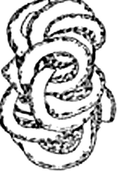 Иллюстрация к книге — Мифы о Древней Руси. Историческое расследование [_032.jpg]