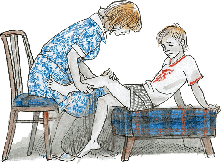 Иллюстрация к книге — «Стрижи» на льду [i_008.jpg]