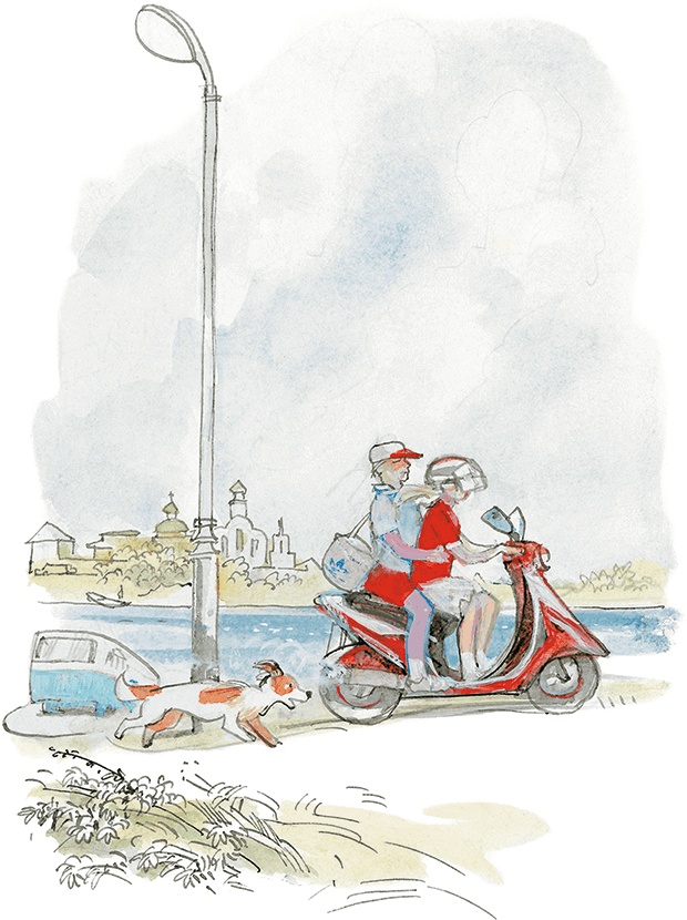 Иллюстрация к книге — «Стрижи» на льду [i_041.jpg]